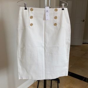 Ann Taylor skirt